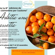 Cartolina promo Clementine 2024 - promo punti distribuzione