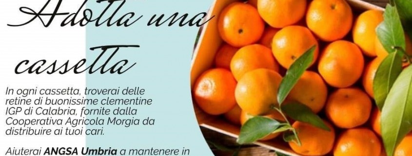 Cartolina promo Clementine 2024 - promo punti distribuzione